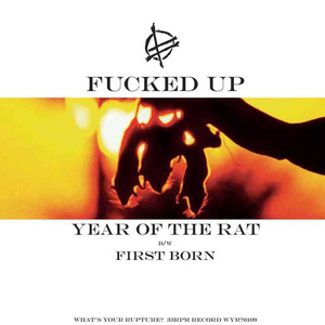 Year of the Rat