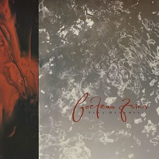 Tiny Dynamite / Echoes in a Shallow Bay