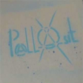 Tribute to Pallasit