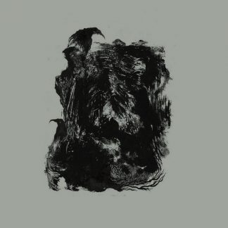 Hollow Sunshine / The Austrasian Goat