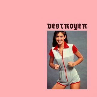 Seven Days of Samsara / Destroyer