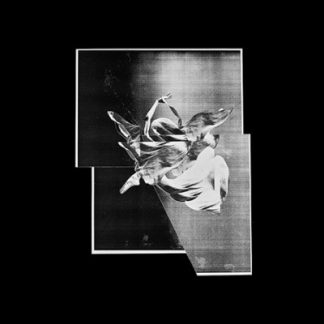 MF064