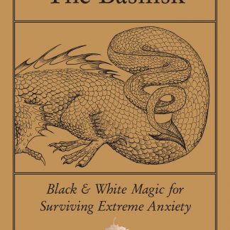 Nine Defenses Against the Basilisk