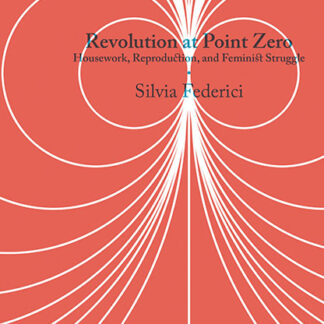 Revolution at Point Zero: Housework, Reproduction, and Feminist Struggle