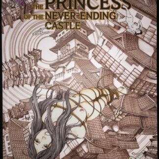 The Princess of the Never-Ending Castle