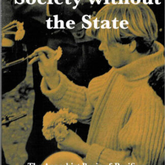 Society Without the State