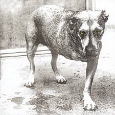 Alice  in Chains