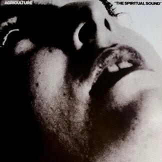The Spiritual Sound